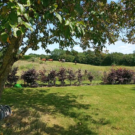 Suzies Self Catering Belmont Apartment Belmont  Стая снимка